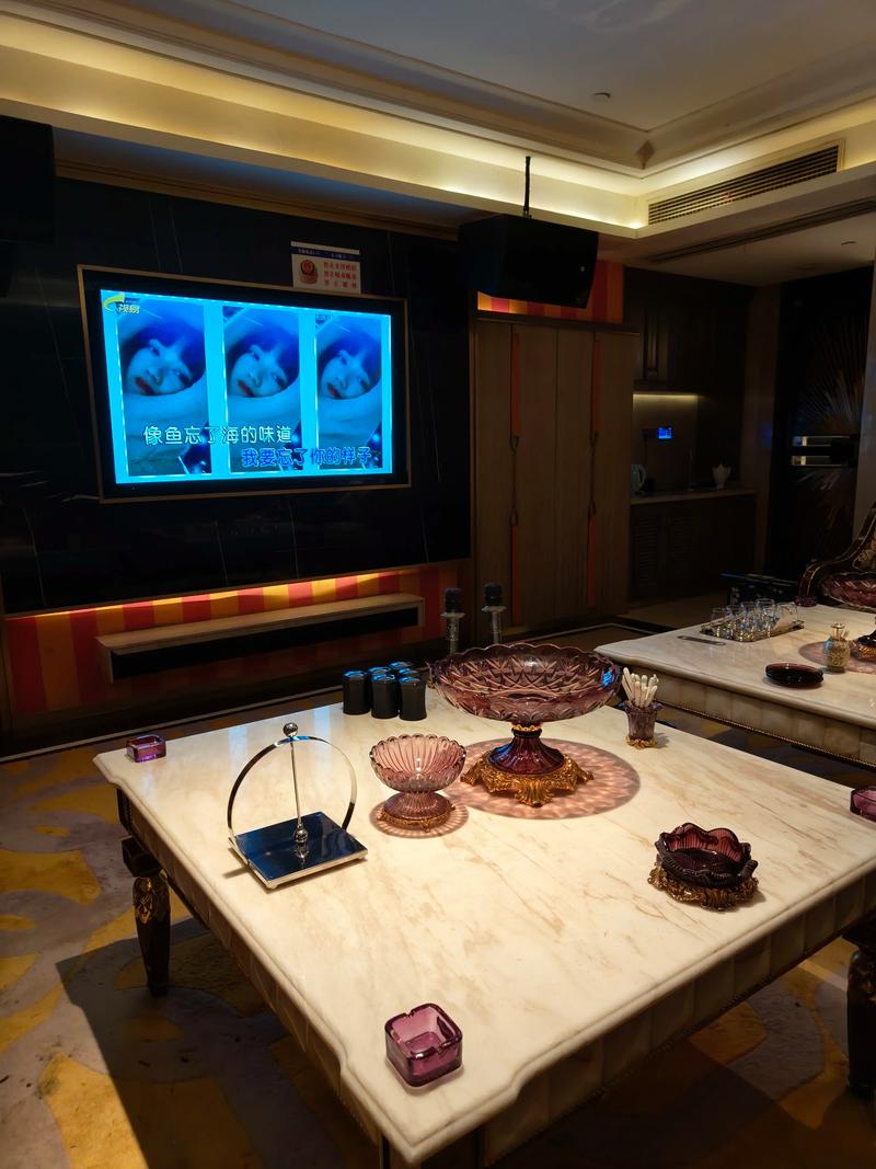 保定商务KTV，划算优惠更多-安新县ktv预订